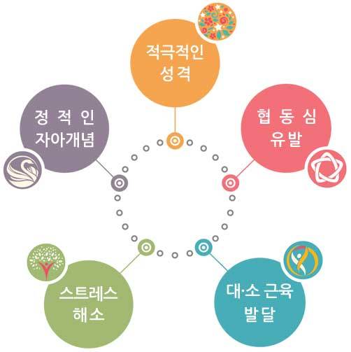 체육